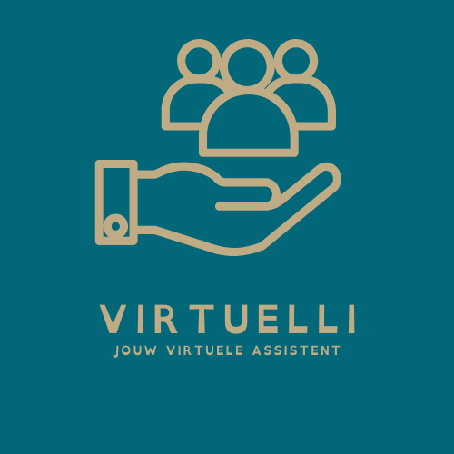 Logo van VirtuElli